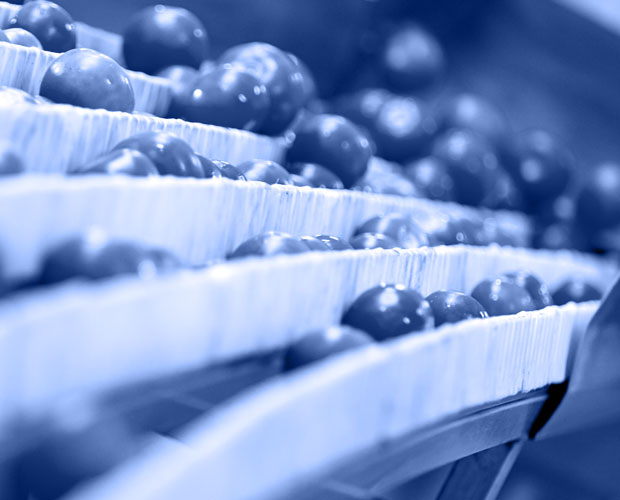 Chemicals & Cleaners tomatoes cleaned with food grade cleaner