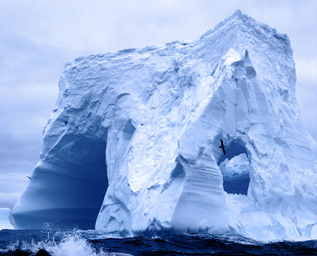 Refrigeration Oils large iceberg